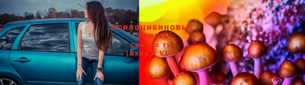 ECSTASY Навашино