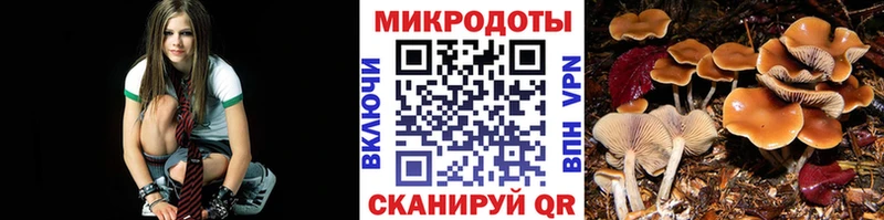Галлюциногенные грибы Cubensis  Аша 